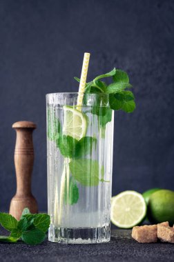 Bir bardak mojito kokteyli, koyu arkaplanda malzemeler var.
