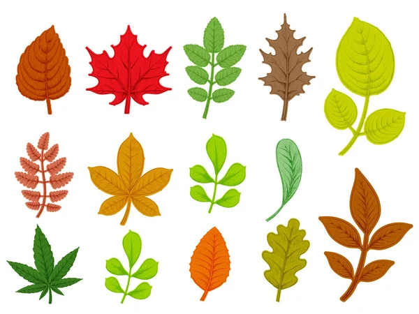 Set Van Kleurrijke Herfstbladeren Geïsoleerd Een Witte Achtergrond Hand Getrokken — Stockvector