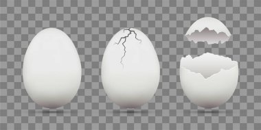 Beyaz tavuk yumurtası kümesi. Kabukları çatlaklar. Saydam bir arka plan üzerinde izole. Hisse senedi vektör şablonu.