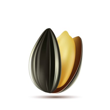 Ayçiçeği tohumu beyaz arka plan üzerinde izole. Hisse senedi vektör çizim.