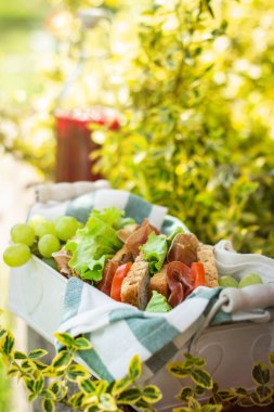 bir sepet, üzüm ve meyve suyu, açık piknik, yakın çekim jamon ve sebze sandviç