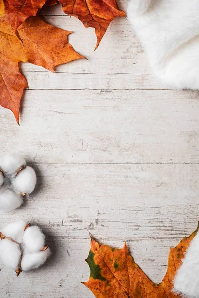 Jersey Mullido Blanco Sobre Fondo Blanco Hojas Arce Otoño Concepto — Foto de Stock