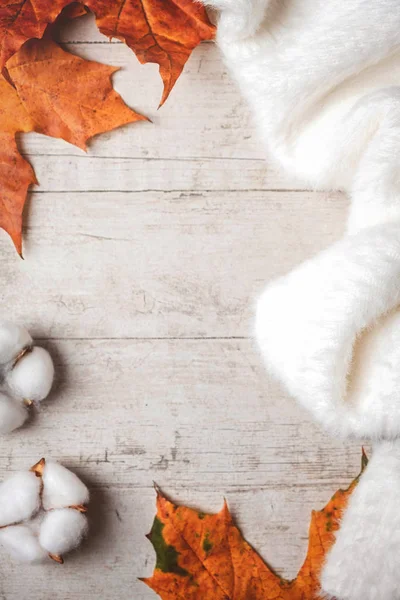 Білий Пухнастий Светр Білому Тлі Кленове Осіннє Листя Концепція Осені — стокове фото