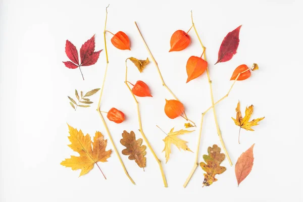 Herbstblätter Und Physalis Zusammensetzung Herbsttextur — Stockfoto