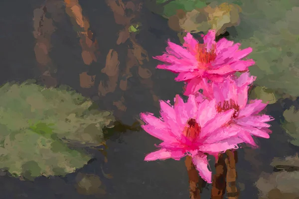 Pembe Nilüfer yağlıboya resim etkisi soyut. 