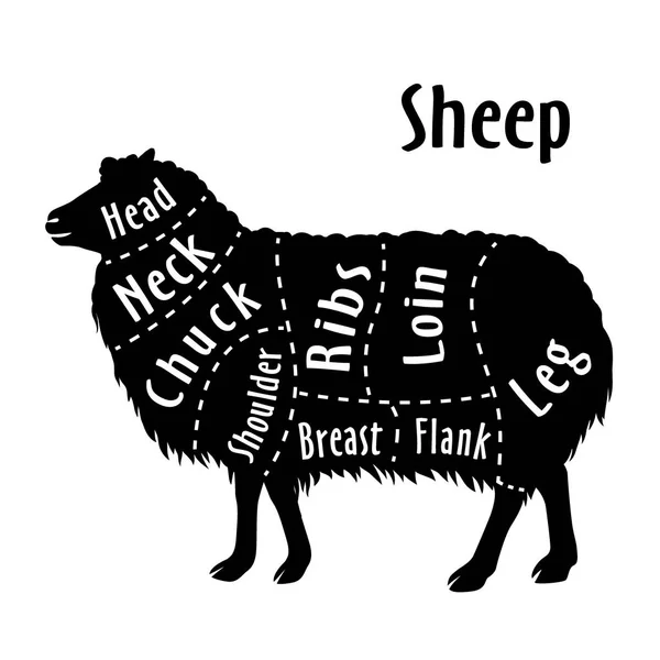 Schnitt von Schafen, Diagramm für Metzger. Schaf-Schnittdiagramm — Stockvektor