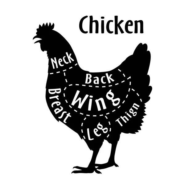 Corte de pollo, diagrama para carnicero. Cartel para la carnicería. Guía de corte. Ilustración vectorial — Vector de stock