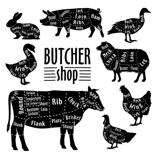 Snijden van vlees van dieren, diagram voor slager. Vlees snij set — Stockvector