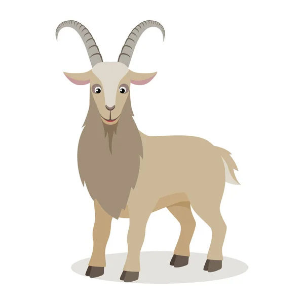 Kreslený koza v různých pozicích v plochý — Stockový vektor