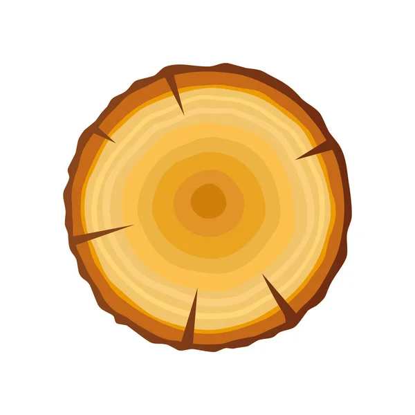 Árbol vectorial Anillo tronco madera. Árboles cortados, aislados sobre fondo blanco. Ilustración vectorial en estilo plano — Vector de stock