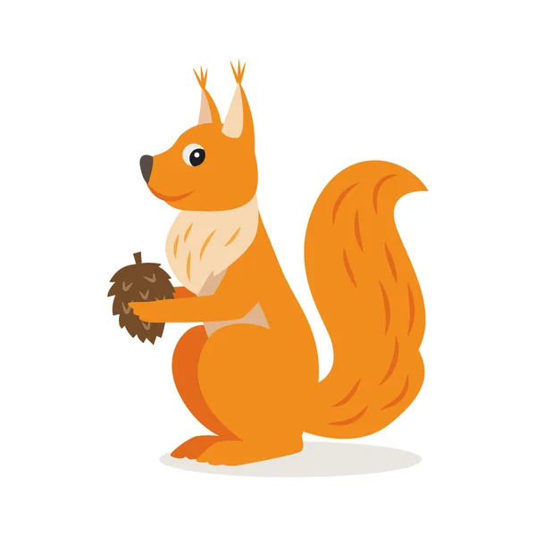 Ikone des Eichhörnchens mit Zapfen isoliert, Wald, Waldtier — Stockvektor