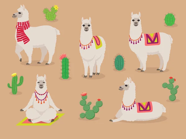 Instellen van schattige Lama's in verschillende poses, desert met cactus — Stockvector