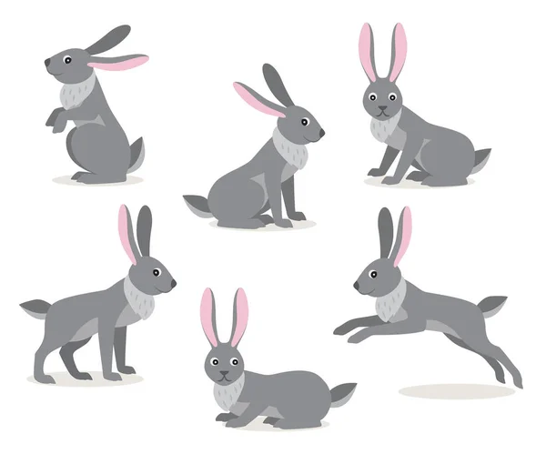Ensemble de lièvre gris mignon dans une pose différente sur fond blanc — Image vectorielle