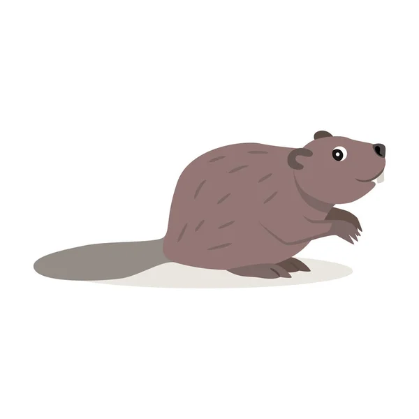 Friendly forest animal, cute brown beaver icon isolated — Stock Vector