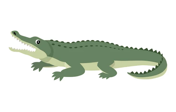 Дружелюбный симпатичный зеленый аллигатор, забавное дикое животное — стоковый вектор