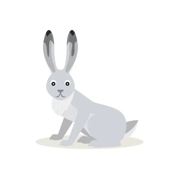 Icono de White Snowshoe Liebre aislada, bosque, animales del bosque — Vector de stock