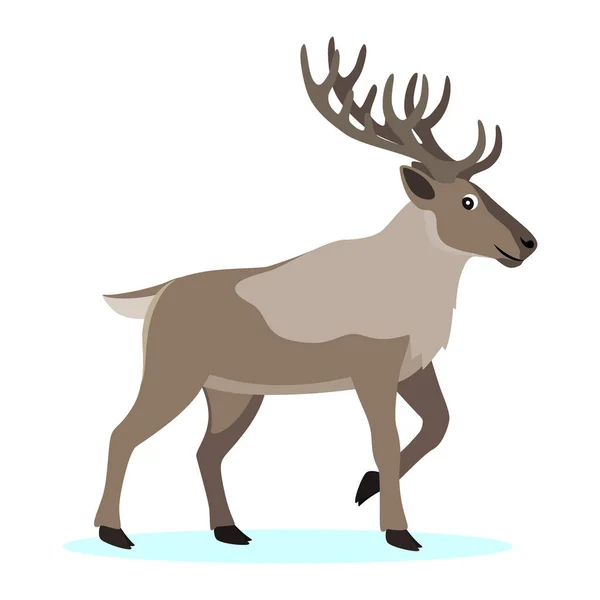 Cute forest polar animal, cartoon caribou reindeer with long horns — Stock Vector