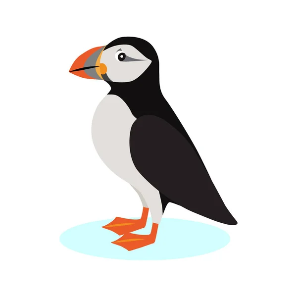 Atlanti lunda ikon, polar madár színes csőr elszigetelt fehér background, faj seabird, vektoros illusztráció. — Stock Vector