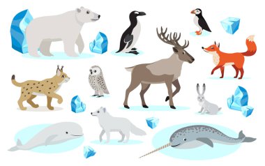 Set of polar animals icons, isolated on white background clipart