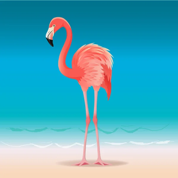 Exotic pink flamingo walking on the hot summer beach. Pink flamingo vector illustration. — Stock Vector