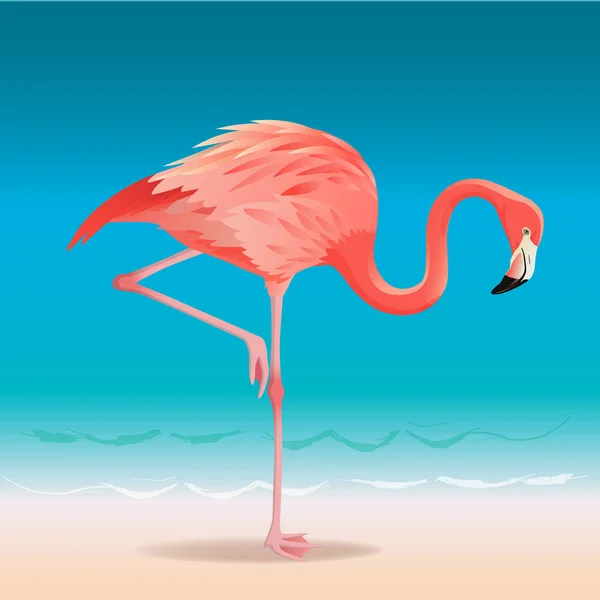 Exotic pink flamingo walking on the hot summer beach. Pink flamingo vector illustration. — Stock Vector