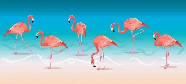 Flamingos rosa exóticos andando na praia quente de verão. Conjunto de flamingos rosa ilustração vetorial . —  Vetores de Stock