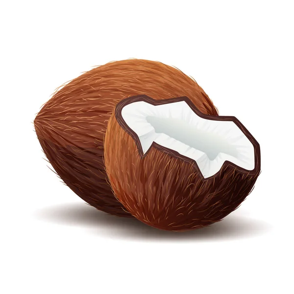 Icono de coco, coco roto aislado en blanco — Vector de stock