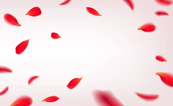 Fallende rote Rosenblätter isoliert auf weißem Hintergrund. Vektor-Illustration mit Schönheitsrosen Blütenblätter Rahmen, anwendbar für die Gestaltung von Grußkarten am 8. März und St. Valentinstag. — Stockvektor