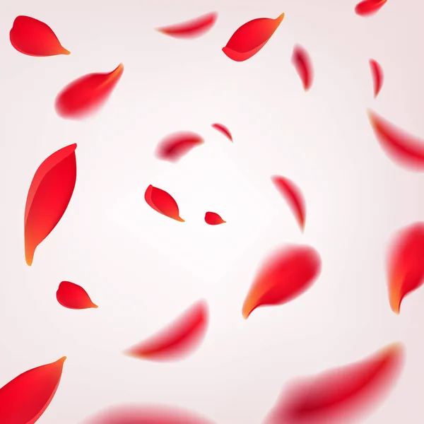 Dalende werveling van rode rozenblaadjes geïsoleerd op een witte achtergrond. Vectorillustratie met schoonheid rozen bloemblaadjes frame, die van toepassing zijn voor ontwerp van wenskaarten op 8 maart en St. Valentijnsdag. — Stockvector