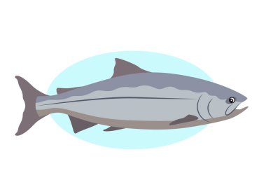 Download King Salmon Free Vector Eps Cdr Ai Svg Vector Illustration Graphic Art