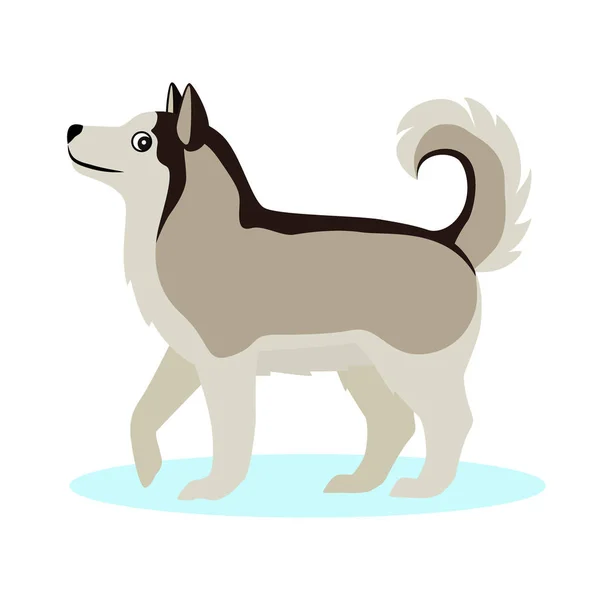 Ziemlich alaskan malamute Symbol, großer pelziger Hund, isoliert auf weißem Hintergrund — Stockvektor