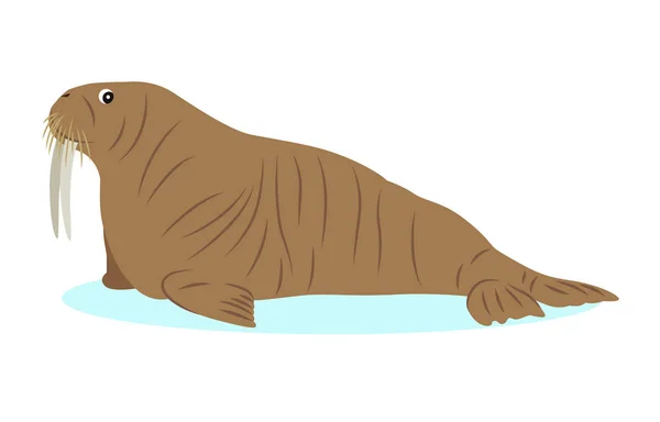 Icône de morse, grand mammifère marin, isolé sur fond blanc — Image vectorielle