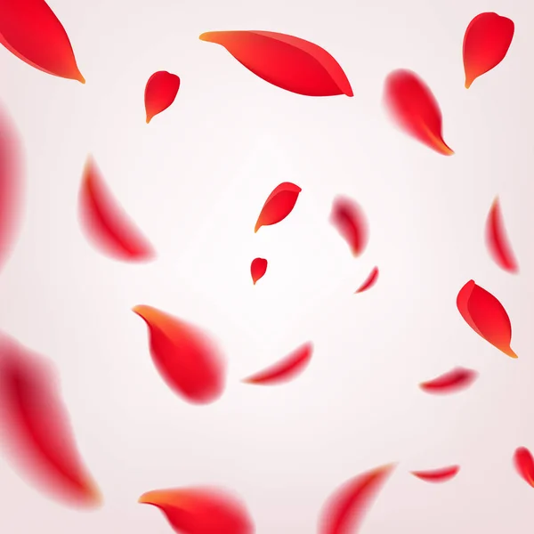 Dalende werveling van rode rozenblaadjes geïsoleerd op een witte achtergrond. Vectorillustratie met schoonheid rozen bloemblaadjes frame, die van toepassing zijn voor ontwerp van wenskaarten op 8 maart en Sint Valentijn s dag. — Stockvector