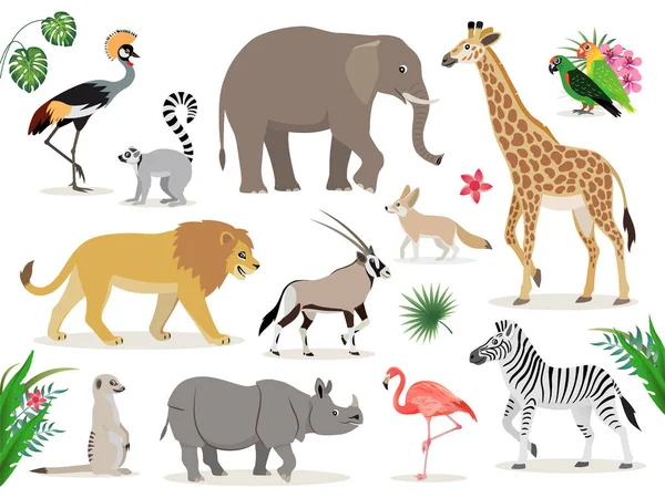 Ensemble d'icônes d'animaux africains mignons isolés sur fond blanc, grue couronnée, lémurien, éléphant, girafe, lion, antilope, zèbre, suricate, rhinocéros, flamant rose, tourtereaux, fennec, vecteur — Image vectorielle
