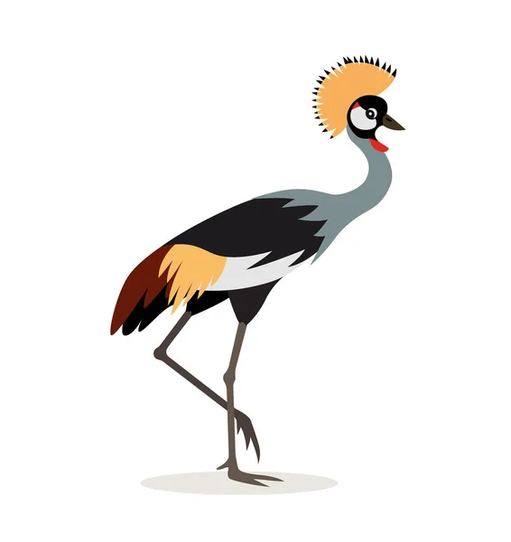 Afrikanisches Tier, schön bunt gekrönter Kranich isoliert auf weißem Hintergrund, exotischer Vogel, Vektorillustration im flachen Stil. — Stockvektor