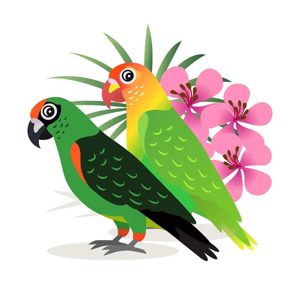 Dvě krásné barevné papoušky lovebird s růžovými květy, které jsou izolované na bílém pozadí, exotického ptactva, vektor — Stockový vektor