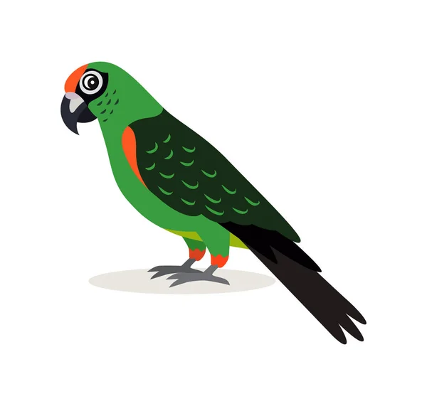 Animal africano, loro verde colorido lovebird icono aislado sobre fondo blanco, ilustración vectorial en estilo plano . — Vector de stock