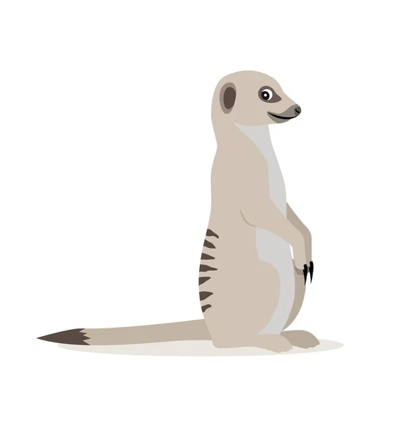 Animal sauvage africain, mignon suricate, icône suricate isolé sur fond blanc, vecteur — Image vectorielle