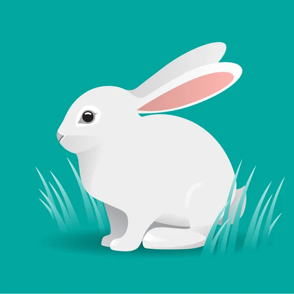 Милий білий кролик мультфільм Векторні ілюстрації — стоковий вектор