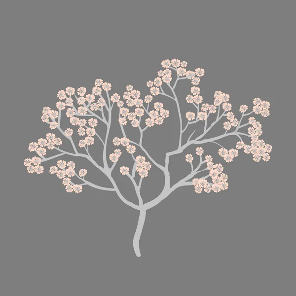 Κάρτα με ελατήριο με άνθος κερασιάς άνοιξη λουλουδιών — Διανυσματικό Αρχείο