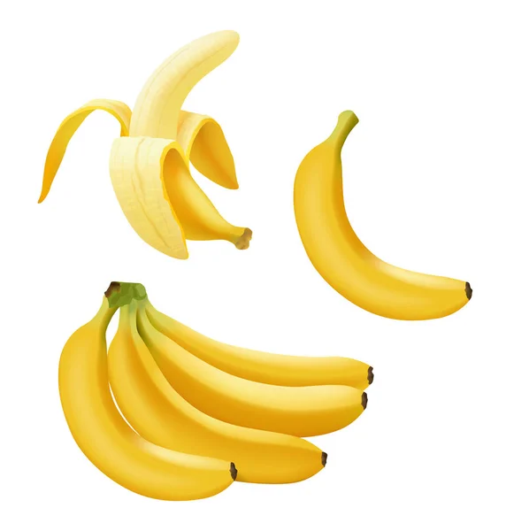 Reális vektoros banánkészlet, banánágazat, félig hámozott és egyetlen, fehér alapon izolált banán — Stock Vector