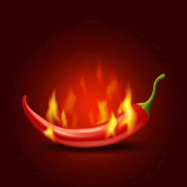 Brennende Chilischote mit Flamme auf rotem Hintergrund, bitter-würzig scharf — Stockvektor
