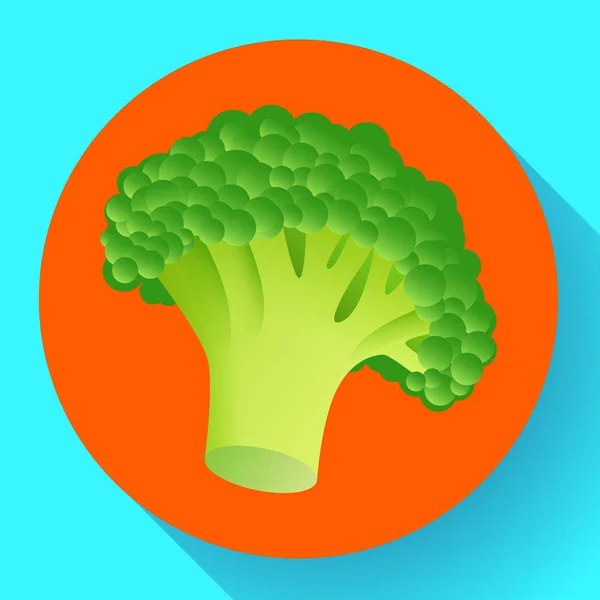 Icono de brócoli fresco. Ilustración realista del icono del vector de brócoli fresco para el diseño web — Vector de stock