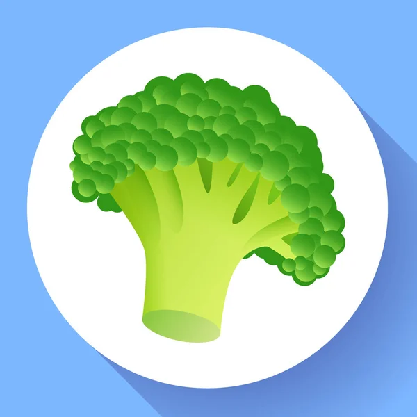 Fresh broccoli icon. Realistic illustration of fresh broccoli vector icon for web design — Stock Vector