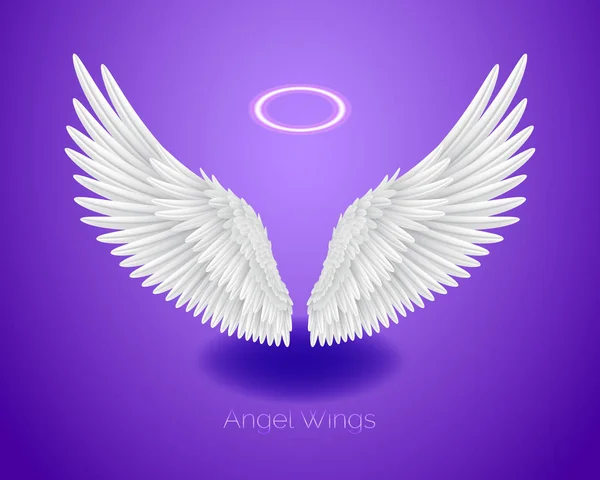 Ailes d'ange blanc et nimbe brillant, plumes réalistes — Image vectorielle