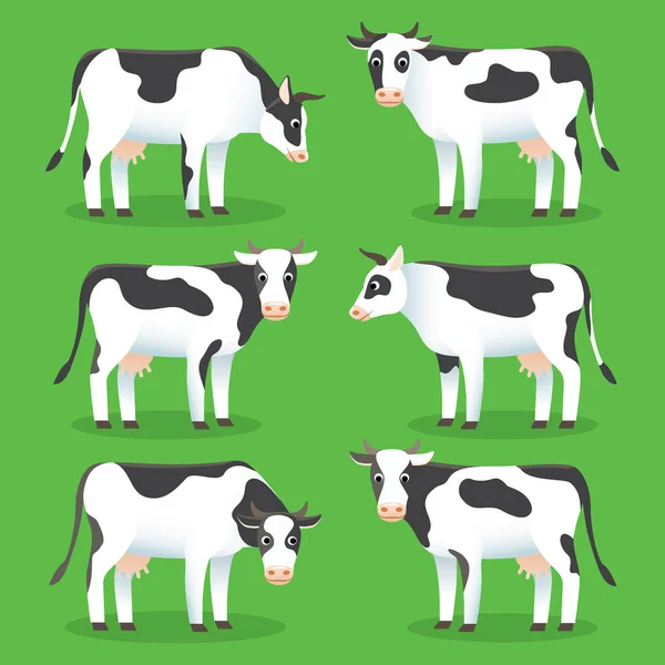 Krávy hospodářských zvířat izolované na zeleném pozadí. Sada bílých a černých krav v plochém stylu, pro logo a návrh webu. Postava ze statku. — Stockový vektor