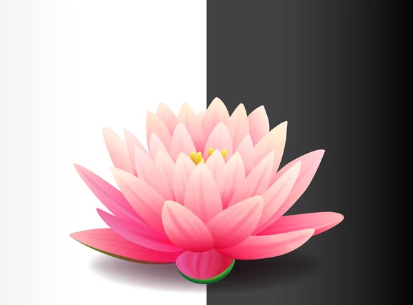 Mooie realistische roze Lotus bloem geïsoleerd op zwart-wit achtergrond, water plant, vector illustratie. — Stockvector