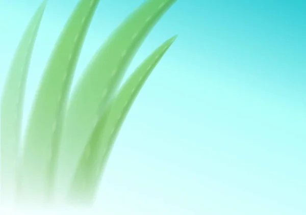 Aloe vera floue sur un fond bleu. Fond modifiable pour la publicité cosmétique, bannière, catalogue ou affiche — Image vectorielle