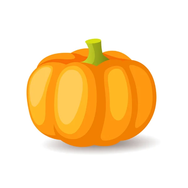Bright orange pumpkin icon isolated, organic healthy food, ripe vegetable, vector illustration. — Stock Vector