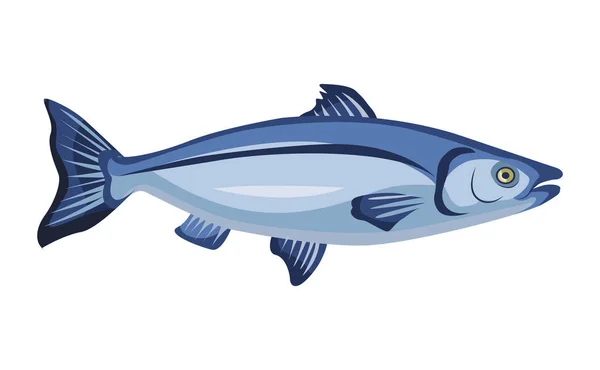 Rå hel lax ikon isolerad på vit bakgrund, färsk fisk, produkt, hälsosam mat, vektor illustration. — Stock vektor